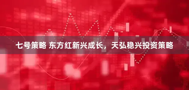 七号策略 东方红新兴成长，天弘稳兴投资策略
